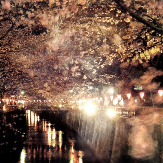 enjoy the silence vo donato dozzy 