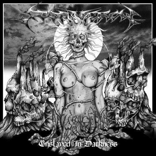 enslaved in darkness stormcrow 224 