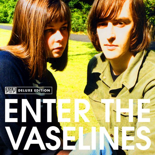 enter the vaselines the vaselines 