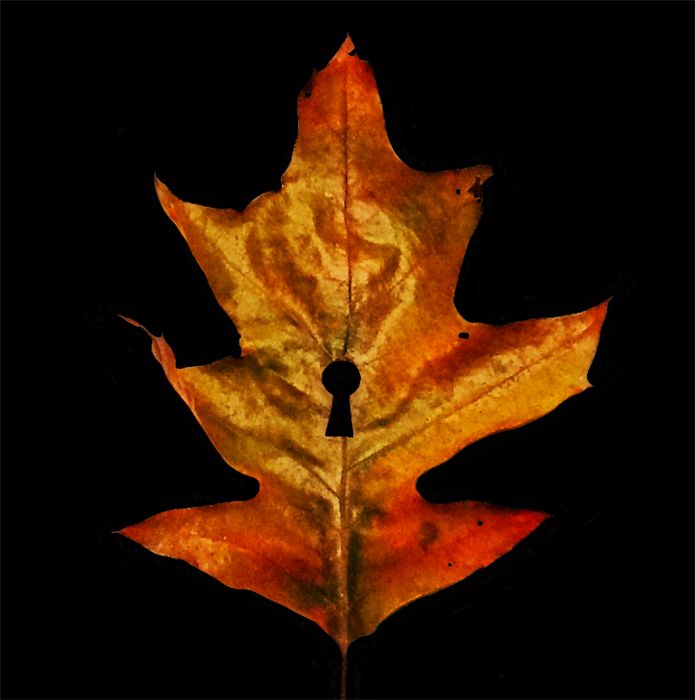 entheogenesis jagata  