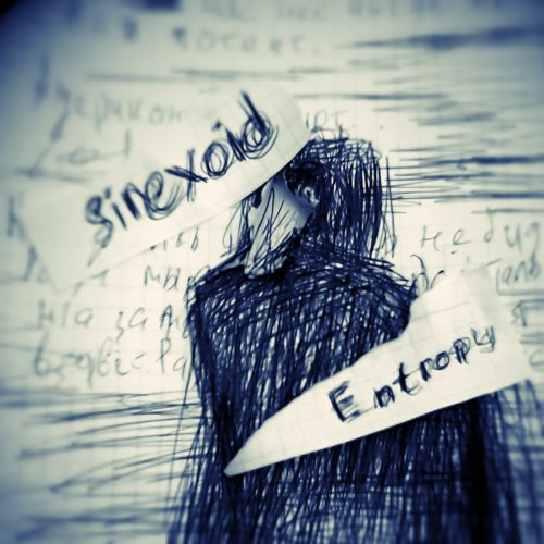 entropy sinexoid 