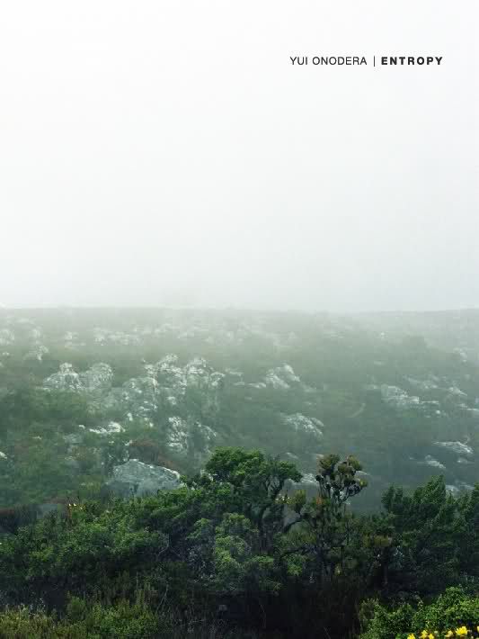 entropy yui onodera 