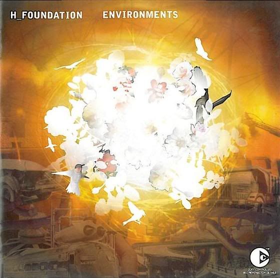 environments h foundation 