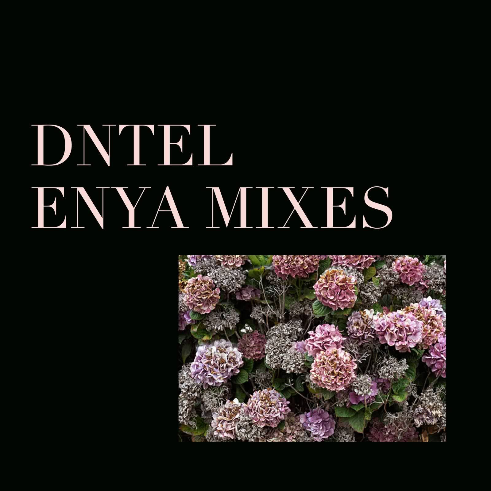 enya mixes dntel  