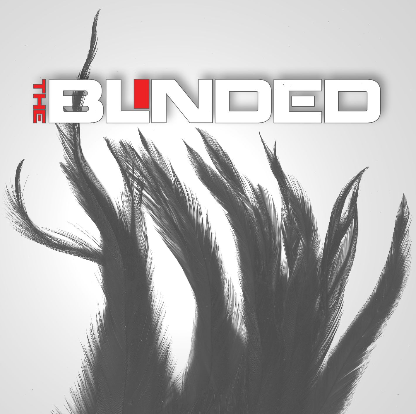 ep2010 the blinded  