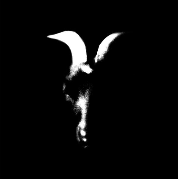 ep gods against zombies 