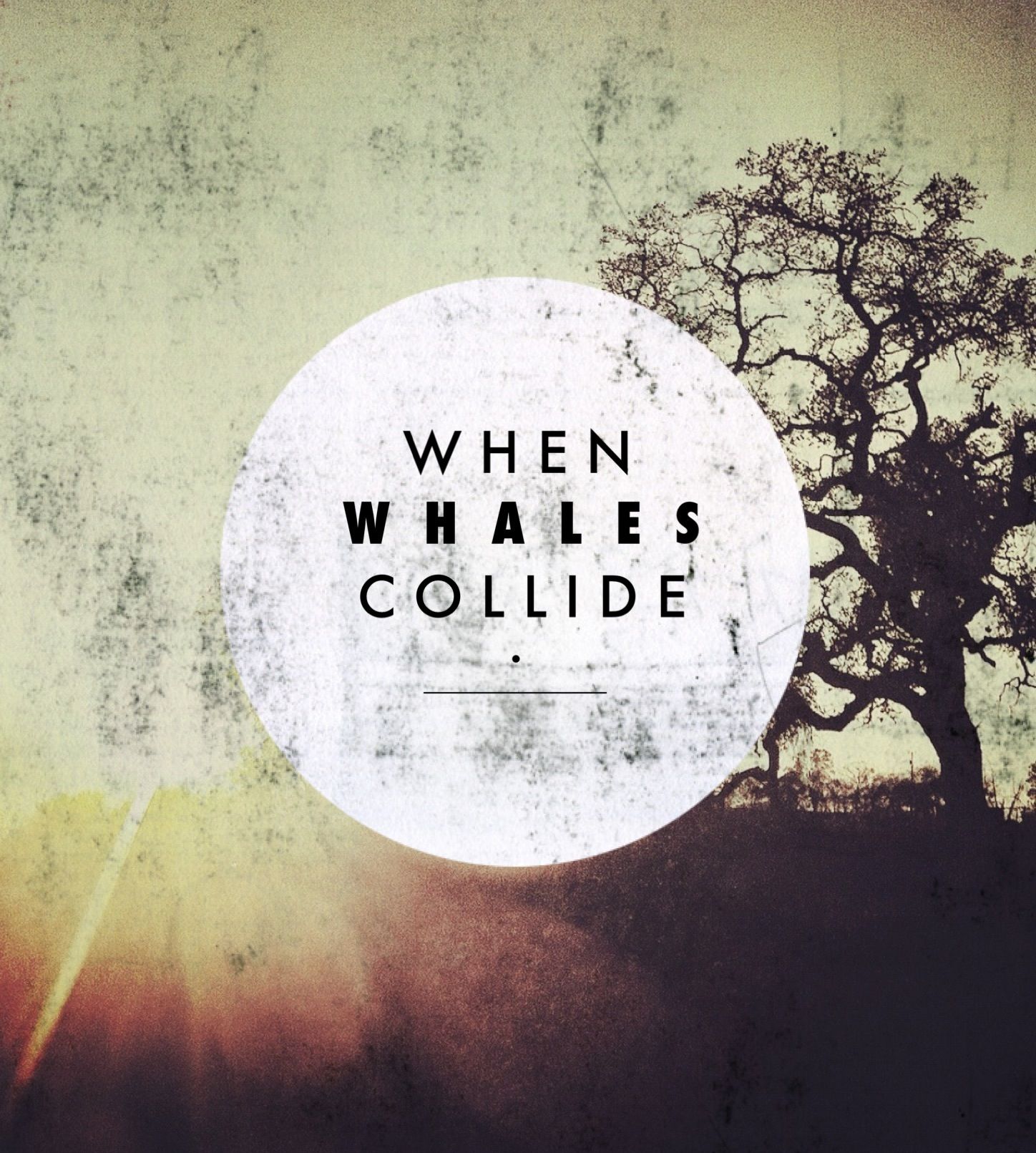ep when whales collide 