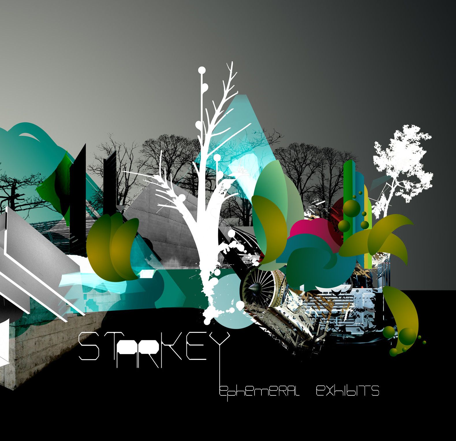 ephemeral exhibits starkey 