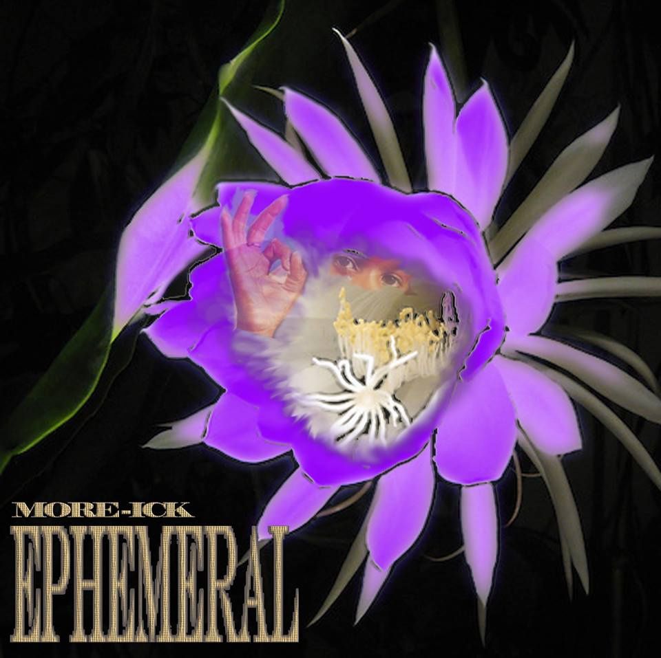 ephemeral more ick  