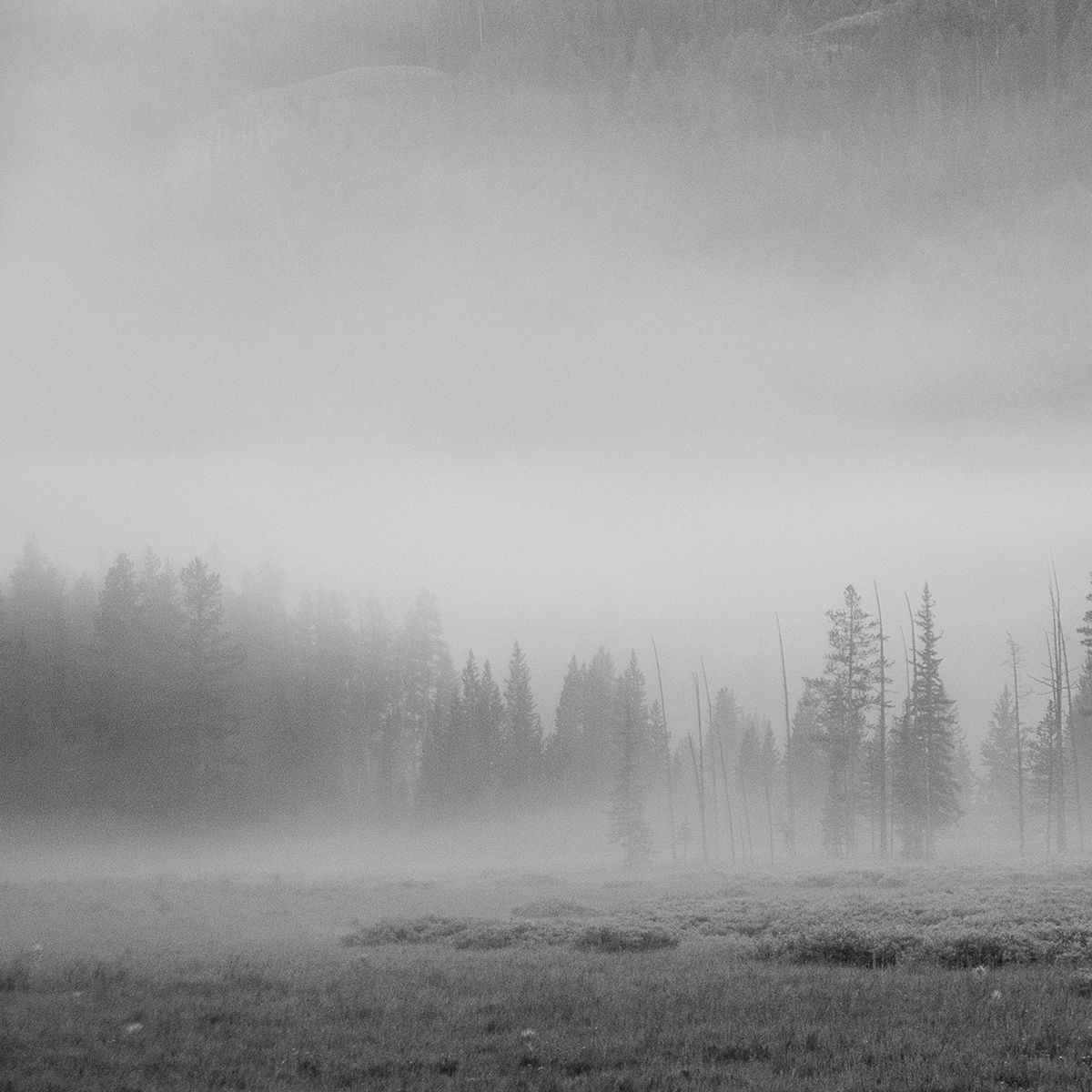 episodes of yesterda yuka 