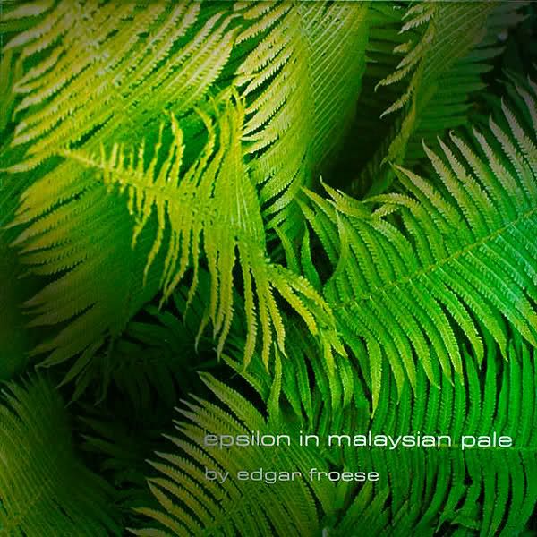 epsilon in malaysian edgar froese 