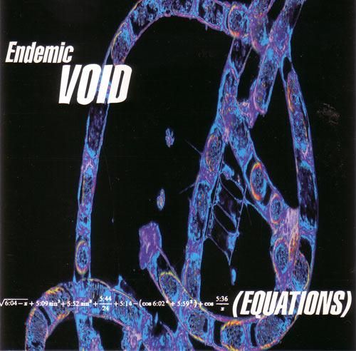 equations endemic void 