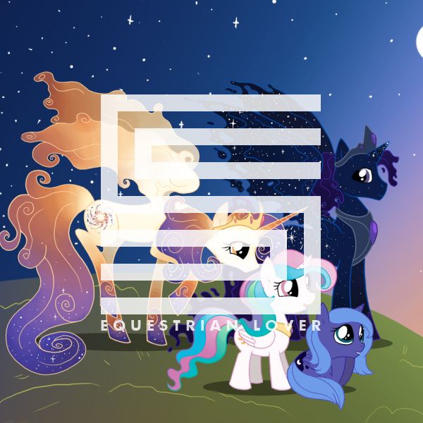 equestrian lover silva hound 