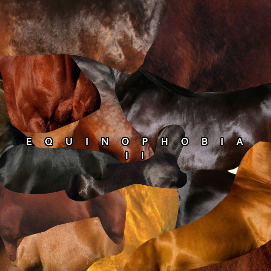 equinophobia ii mechabloby 