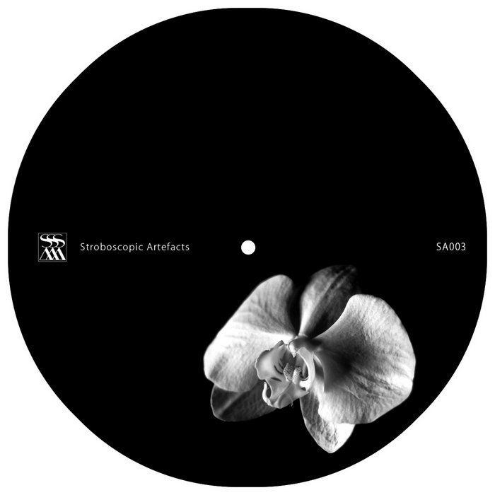 ercolino lucy gmork so the not 