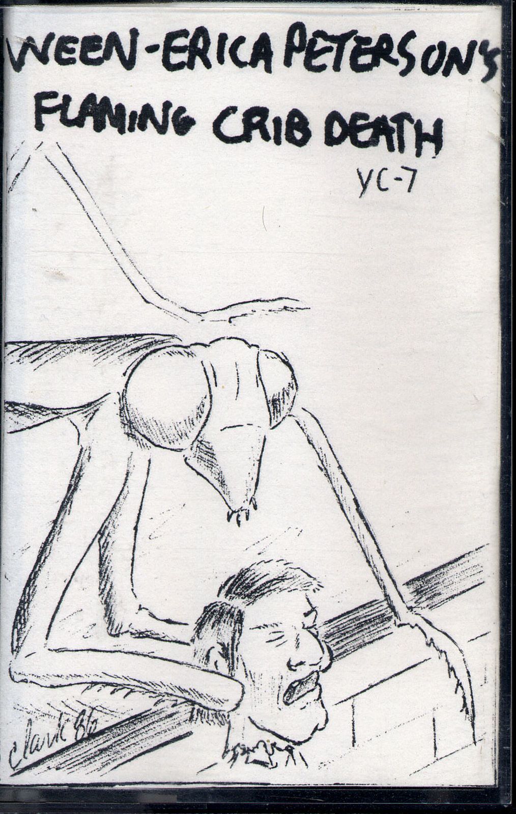 erica petersons flam ween 