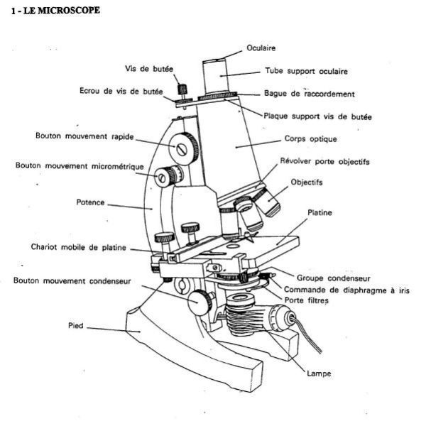escape reality komarken electronics 