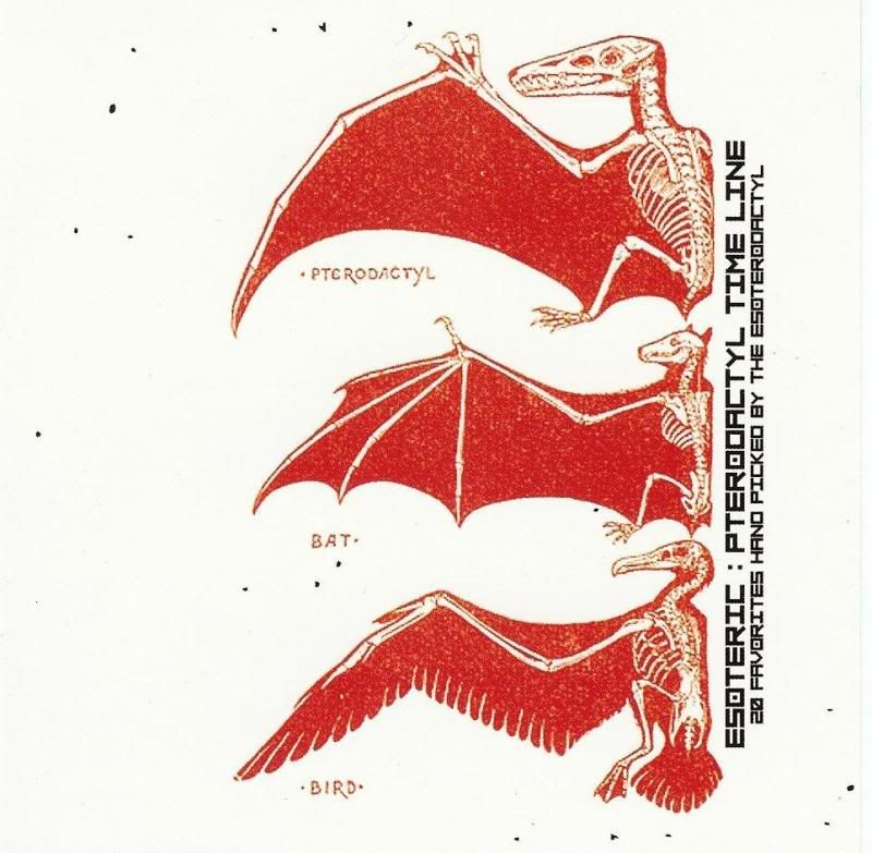 esoteric pterodacty 7l  