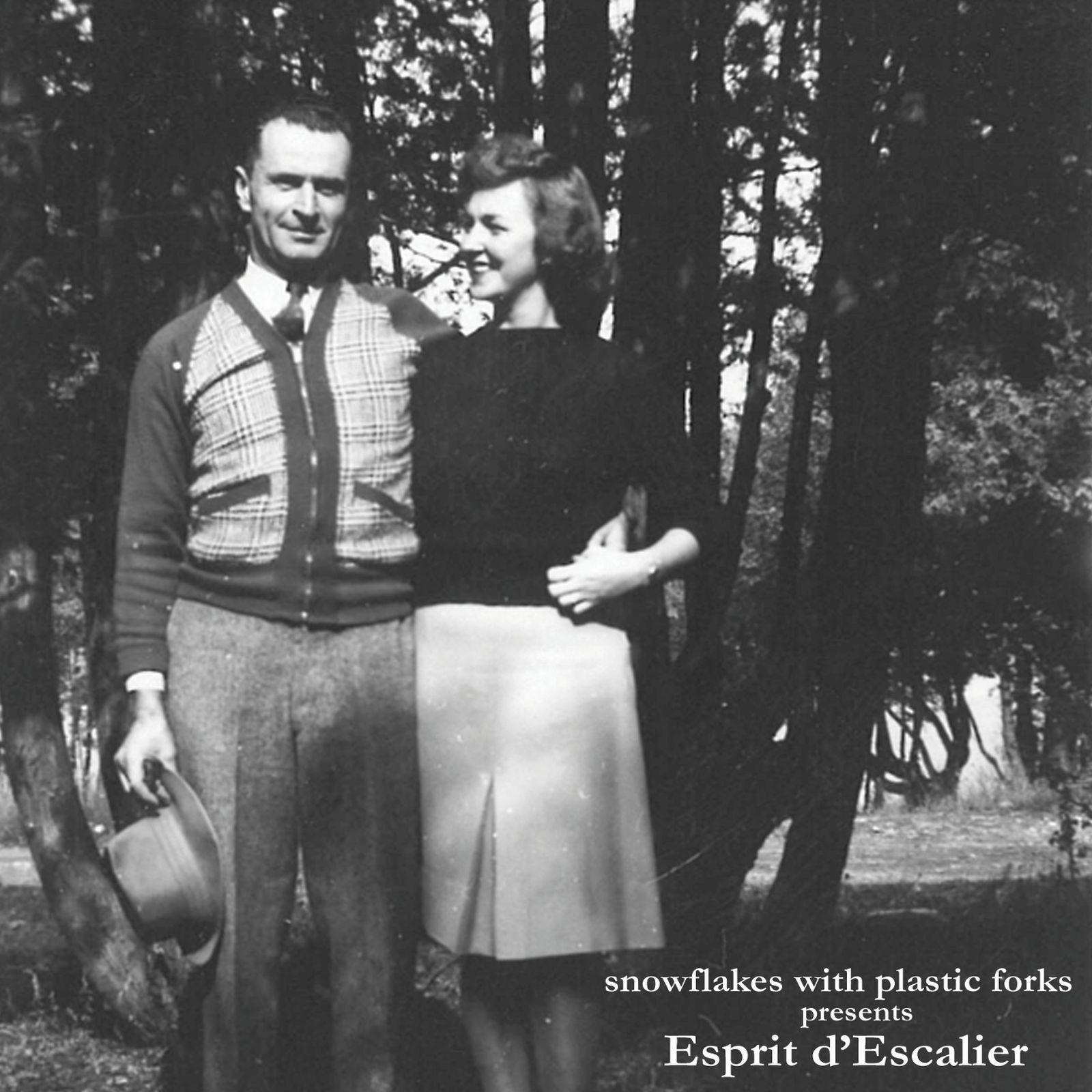 esprit descalie snowflakes with plas  