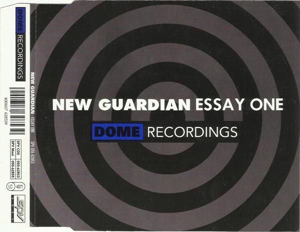 essay one new guardian 