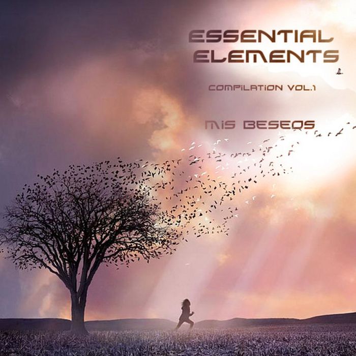 essential elements mis beseos  