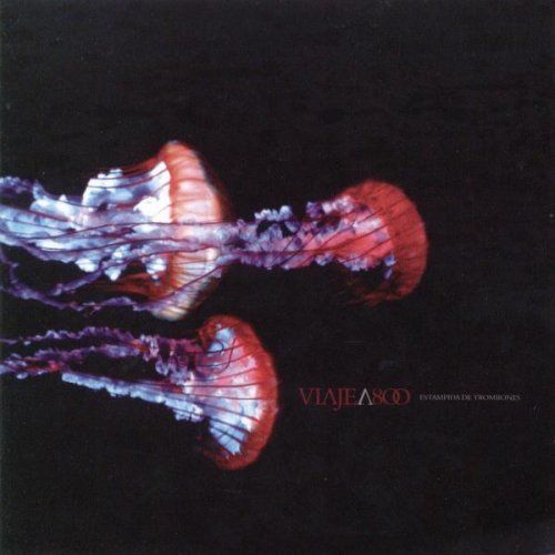 estampida de trombon viaje a 800 