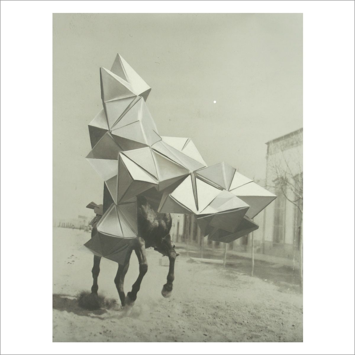 estampida victor herrero 