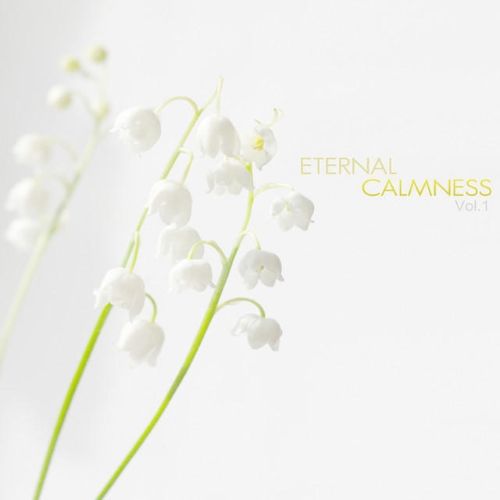 eternal calmness vol ann grace  
