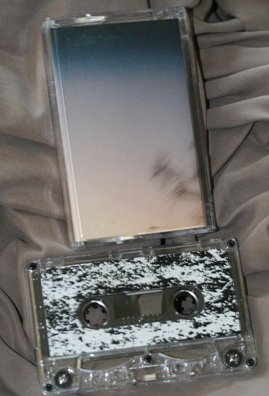 eternal sky treetops 