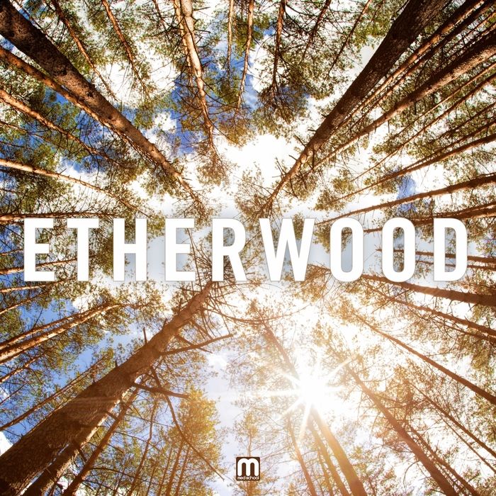 etherwood etherwood 