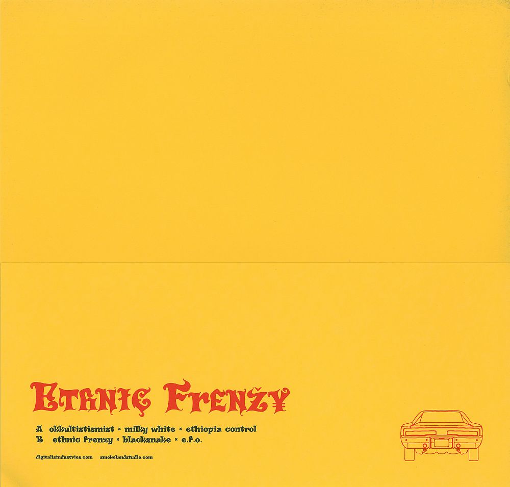 ethnic frenzy niggas with guitars 