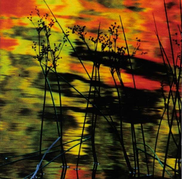 ethos musick exit 13 