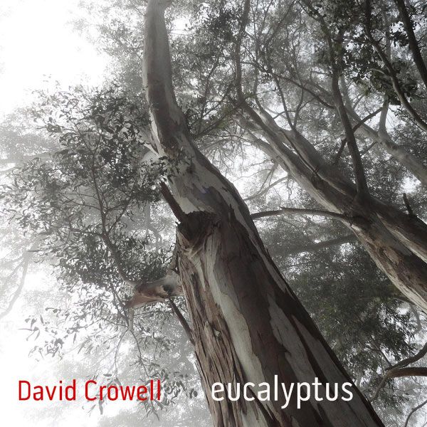 eucalyptus brian archinal 