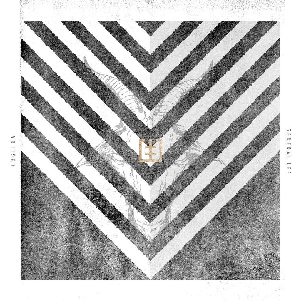 euglena genera euglena 