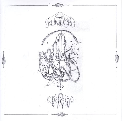 eunuch cirrhus cirrhus  