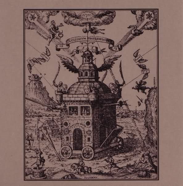 european tour donati brown bird  