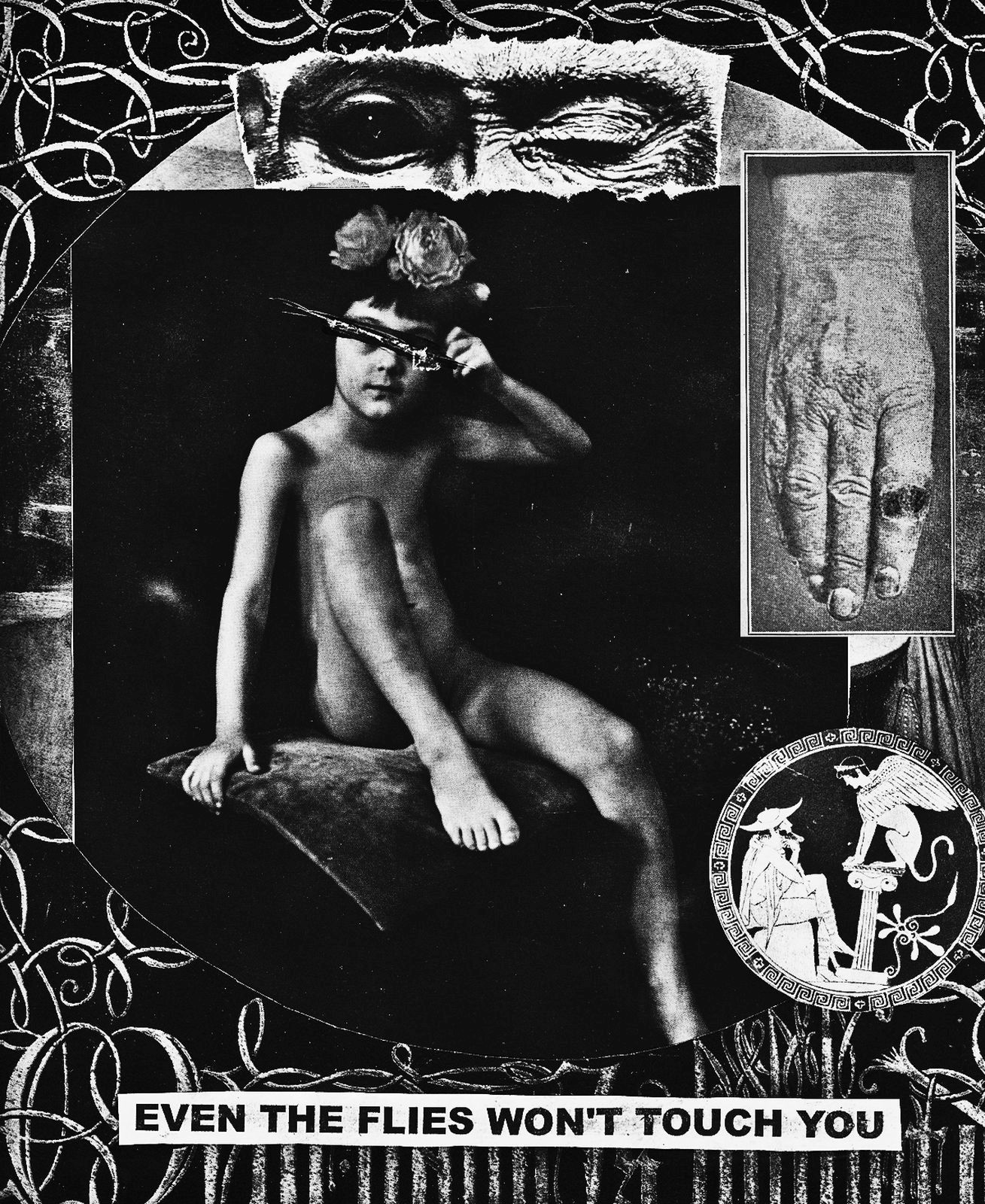 even the flies won rectal hygenics  