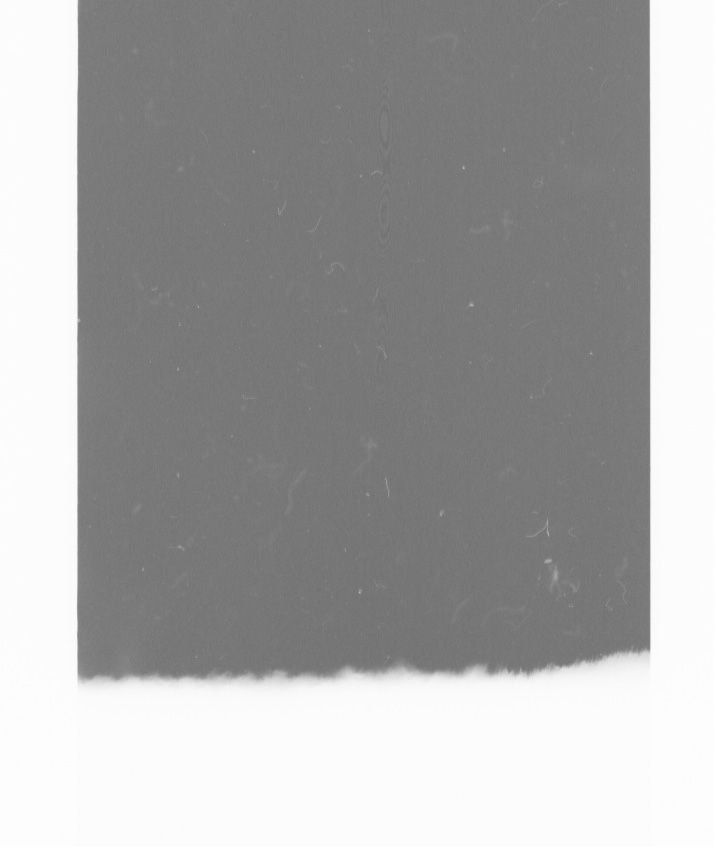 even the grey tehama 