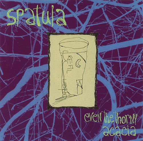 even the thorny acac spatula 