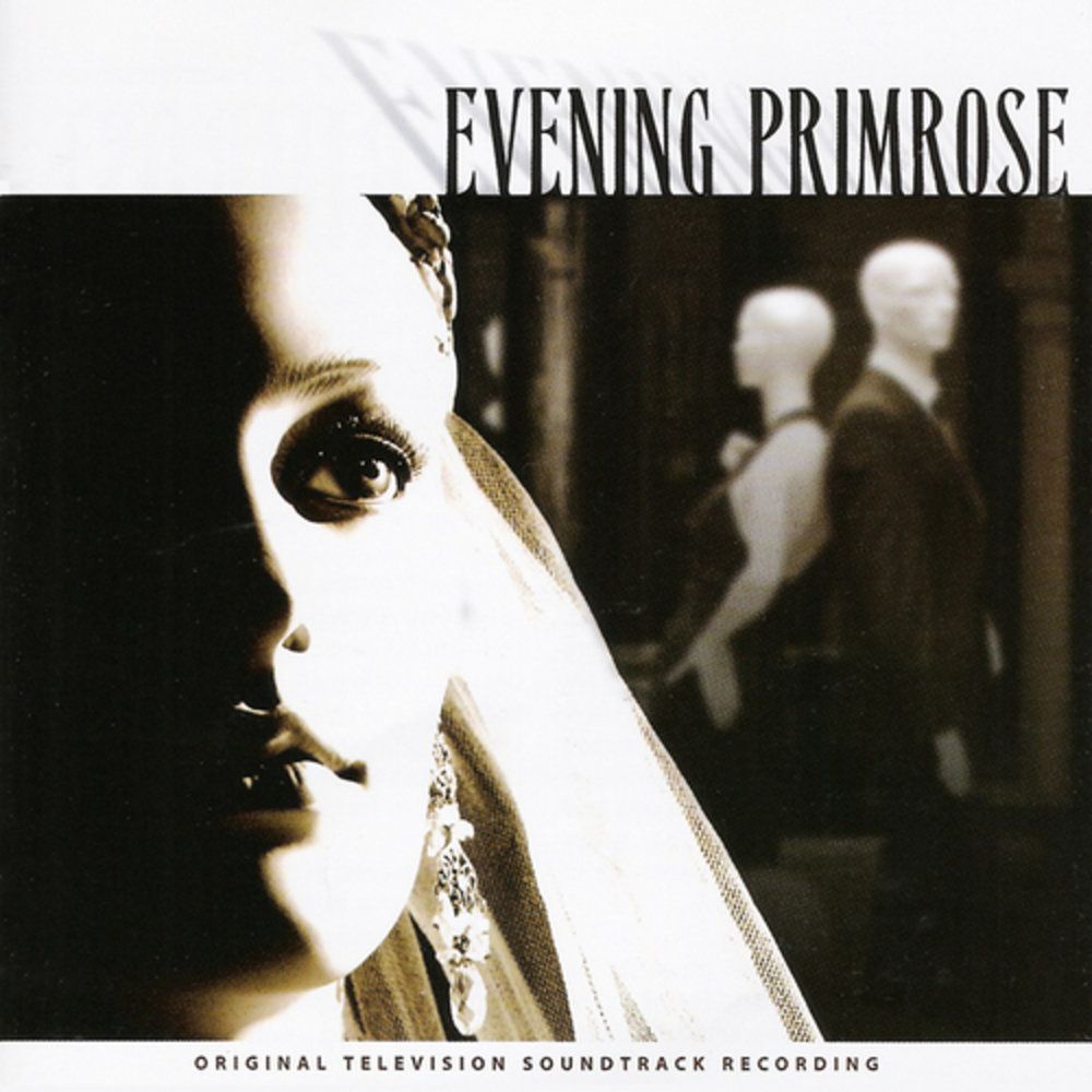evening primrose o stephen sondheim 