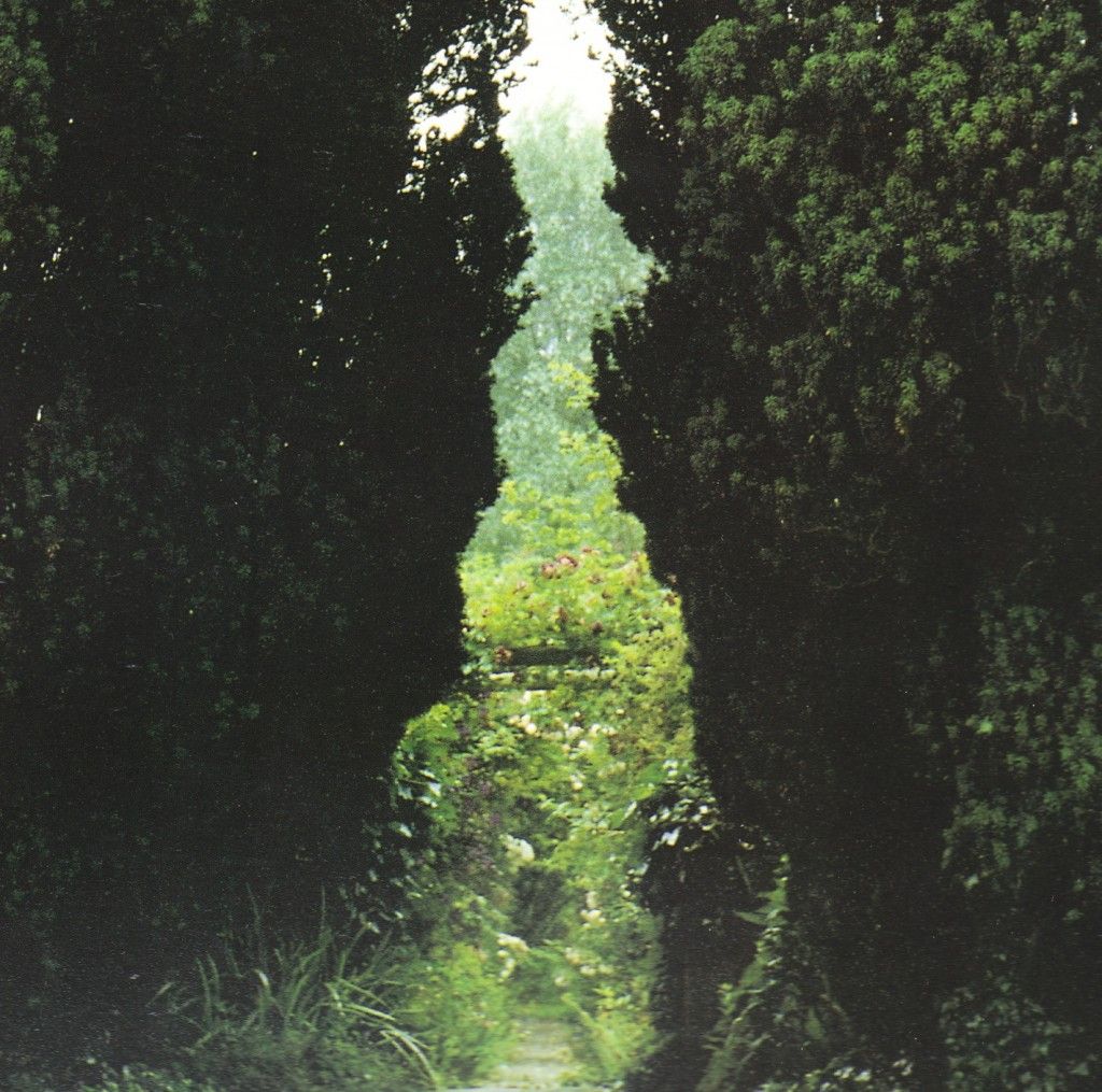 evening song awaken troy shafer 