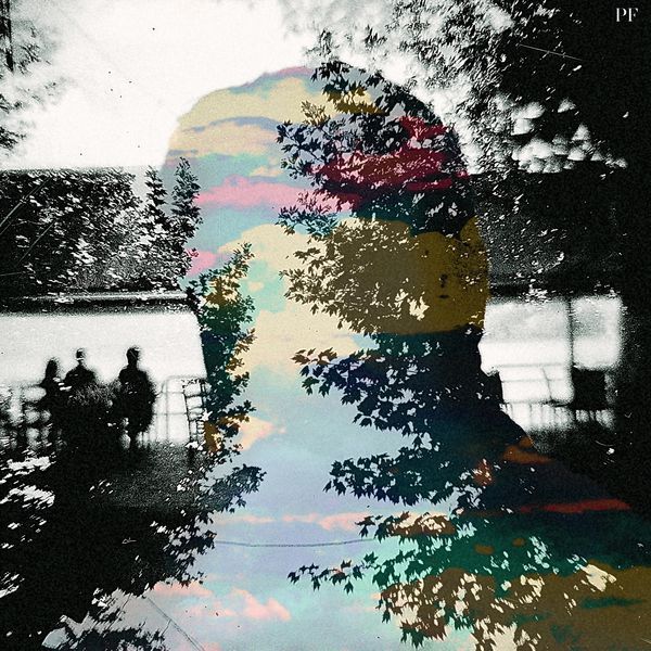 evergreen plastic flowers  