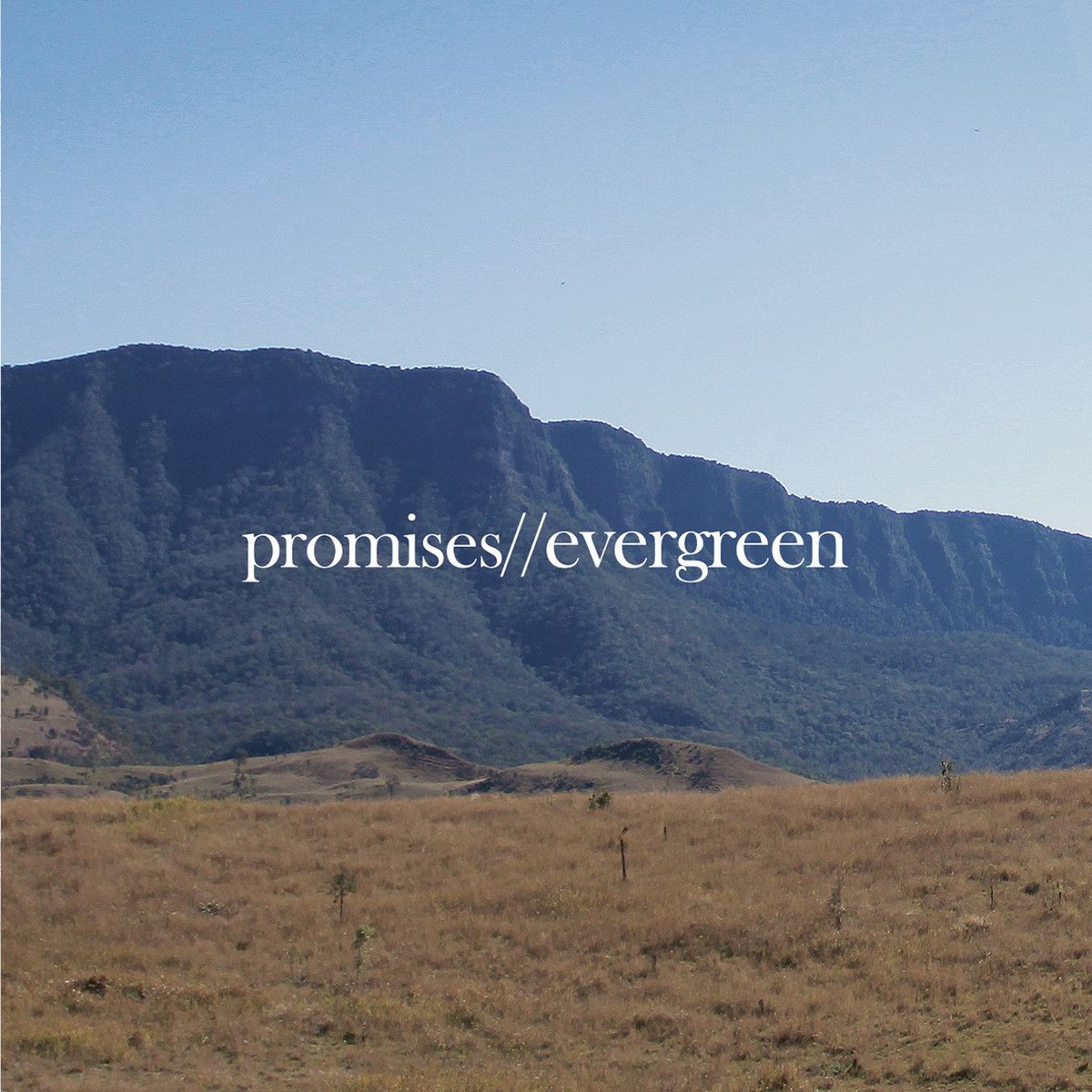 evergreen promises 