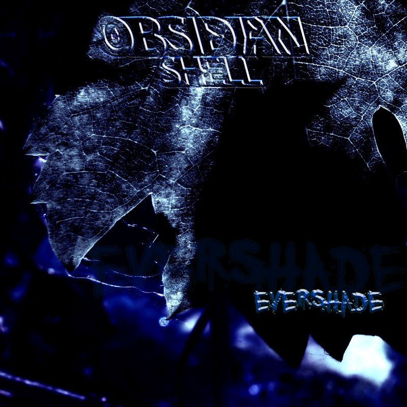 evershade obsidian shell 