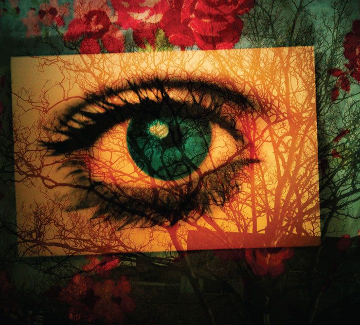 every day is like th malka spigel 