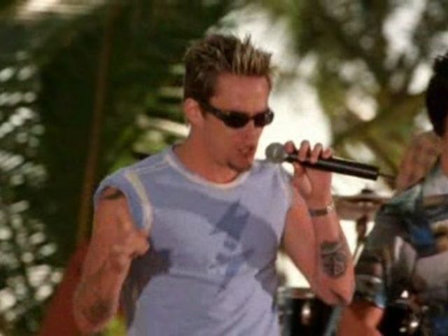 every morning sugar tiger tiger 