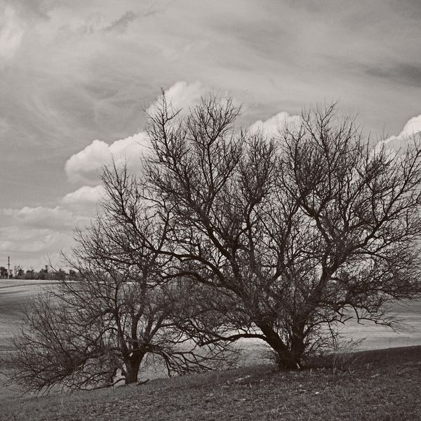 every second foreve t e morris 