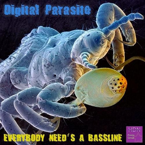 everybody needs a ba digital parasite  