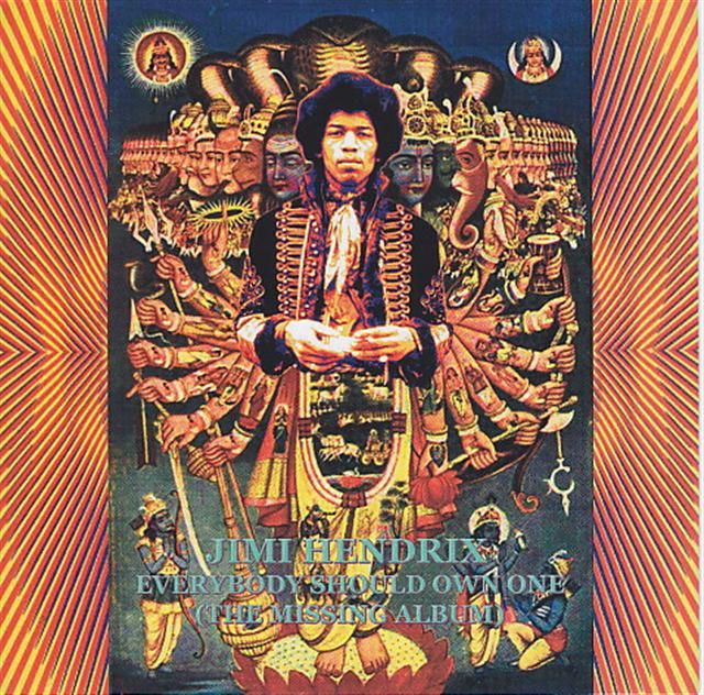everybody should own jimi hendrix 224 