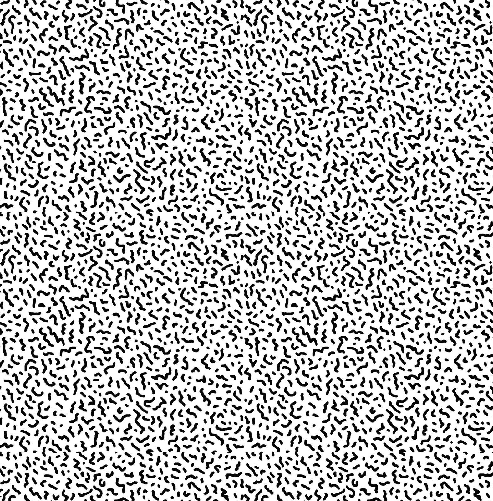 everyday grace white car 